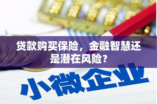 双溪贷款购买保险，金融智慧还是潜在风险？