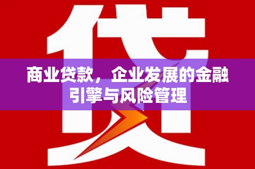 双溪商业贷款，企业发展的金融引擎与风险管理