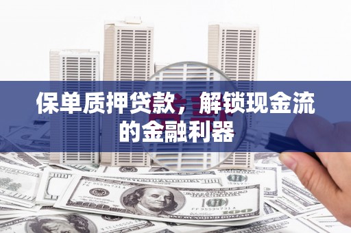 双溪保单质押贷款，解锁现金流的金融利器