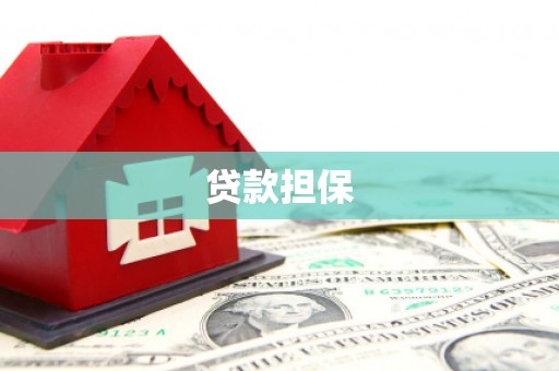 双溪贷款担保