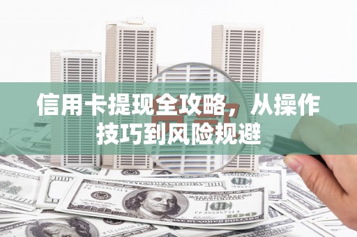 双溪信用卡提现全攻略，从操作技巧到风险规避