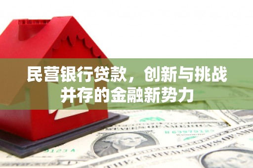 双溪民营银行贷款，创新与挑战并存的金融新势力