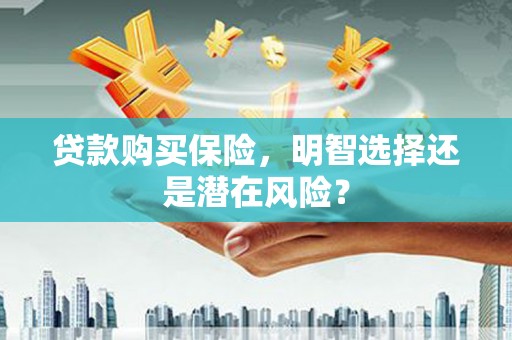 双溪贷款购买保险，明智选择还是潜在风险？