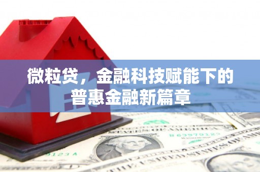 双溪微粒贷，金融科技赋能下的普惠金融新篇章
