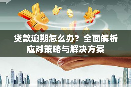 双溪贷款逾期怎么办？全面解析应对策略与解决方案