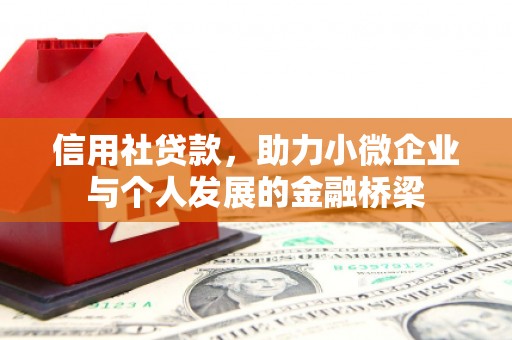 双溪信用社贷款，助力小微企业与个人发展的金融桥梁