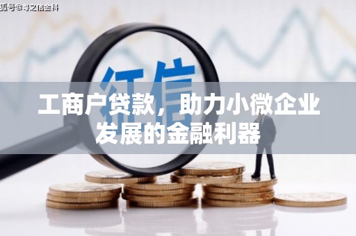 双溪工商户贷款，助力小微企业发展的金融利器