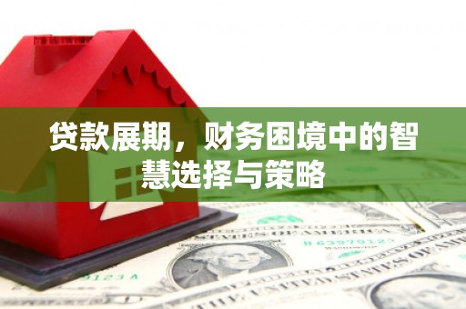 双溪贷款展期，财务困境中的智慧选择与策略