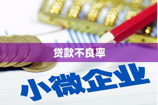 双溪贷款不良率