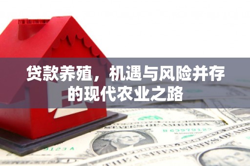 双溪贷款养殖，机遇与风险并存的现代农业之路