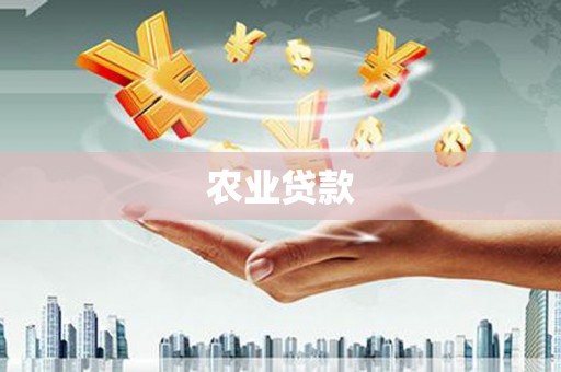 双溪农业贷款