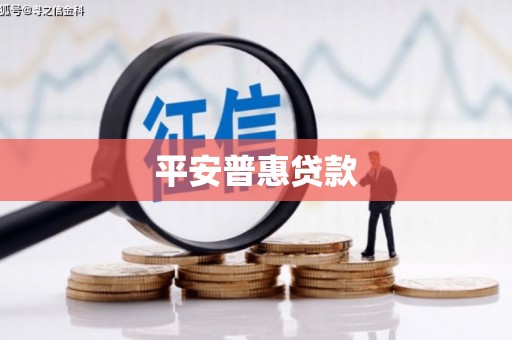 双溪平安普惠贷款
