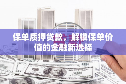 双溪保单质押贷款，解锁保单价值的金融新选择