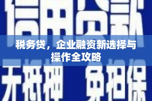 双溪税务贷，企业融资新选择与操作全攻略
