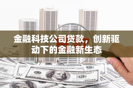 双溪金融科技公司贷款，创新驱动下的金融新生态