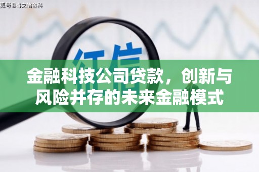 双溪金融科技公司贷款，创新与风险并存的未来金融模式