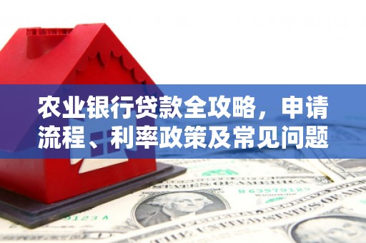 双溪农业银行贷款全攻略，申请流程、利率政策及常见问题解析
