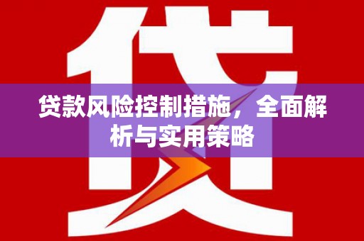双溪贷款风险控制措施，全面解析与实用策略