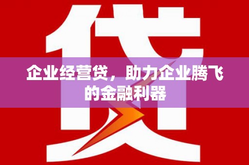 双溪企业经营贷，助力企业腾飞的金融利器
