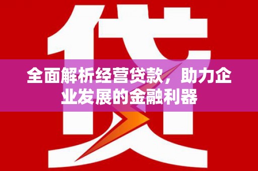 双溪全面解析经营贷款，助力企业发展的金融利器