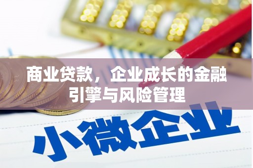 双溪商业贷款，企业成长的金融引擎与风险管理