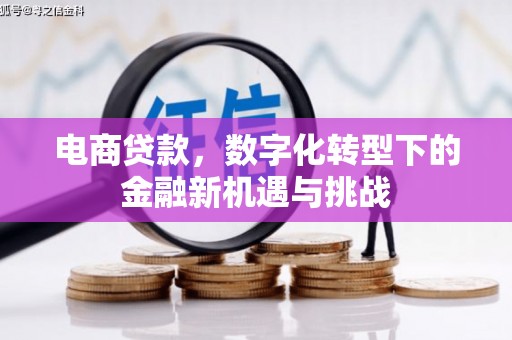 双溪电商贷款，数字化转型下的金融新机遇与挑战