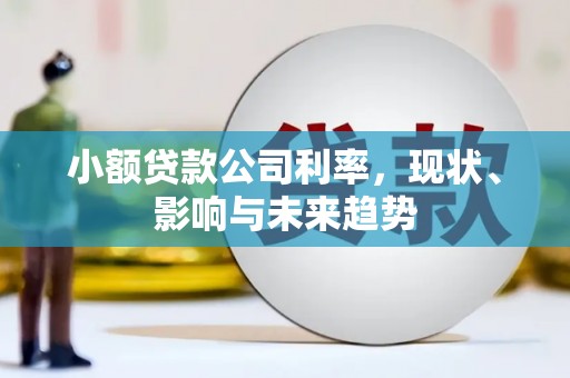 双溪小额贷款公司利率，现状、影响与未来趋势