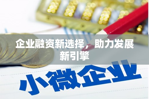 双溪企业融资新选择，助力发展新引擎
