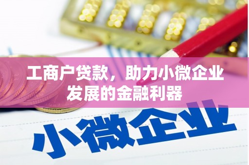 双溪工商户贷款，助力小微企业发展的金融利器