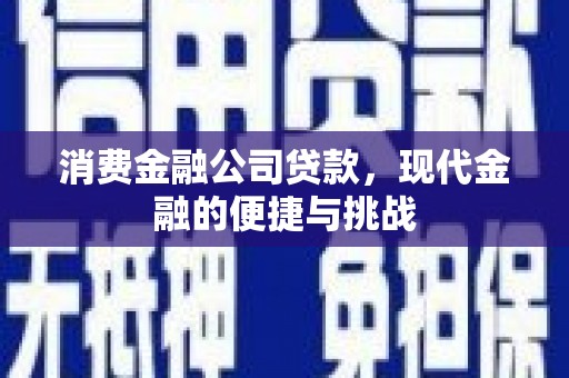 双溪消费金融公司贷款，现代金融的便捷与挑战
