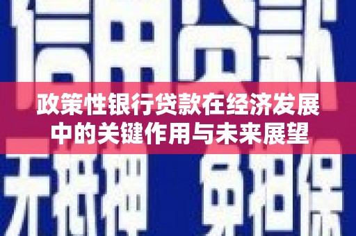 双溪政策性银行贷款在经济发展中的关键作用与未来展望