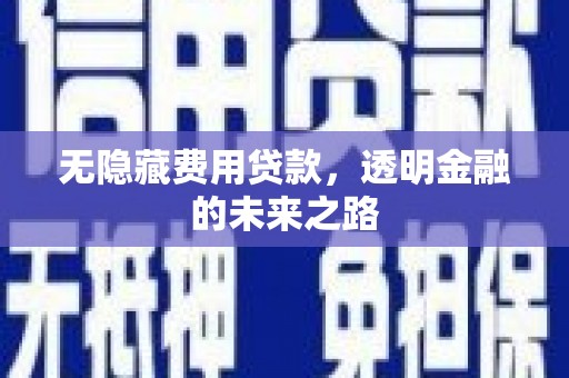 双溪无隐藏费用贷款，透明金融的未来之路
