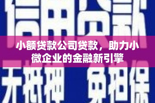 双溪小额贷款公司贷款，助力小微企业的金融新引擎
