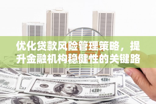 双溪优化贷款风险管理策略，提升金融机构稳健性的关键路径