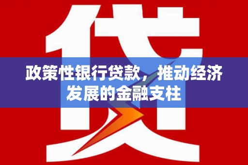 双溪政策性银行贷款，推动经济发展的金融支柱