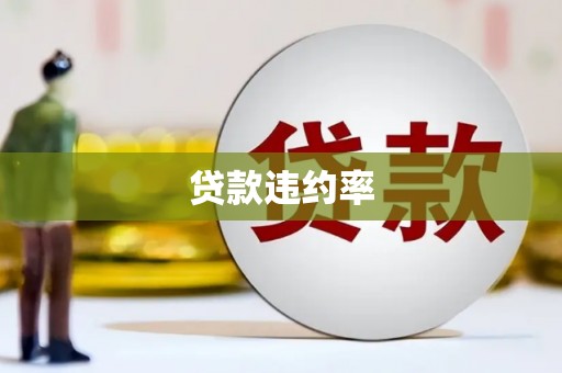 双溪贷款违约率