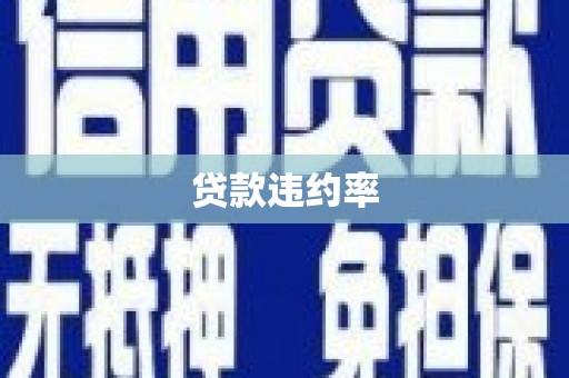双溪贷款违约率