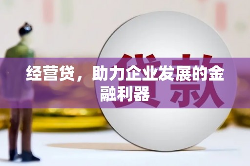 双溪经营贷，助力企业发展的金融利器