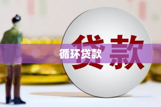 双溪循环贷款