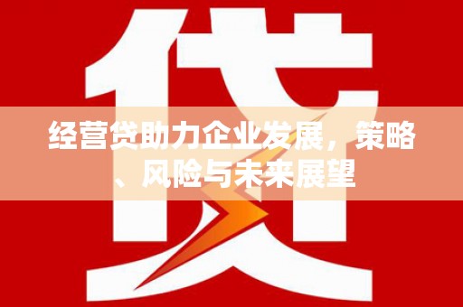 双溪经营贷助力企业发展，策略、风险与未来展望
