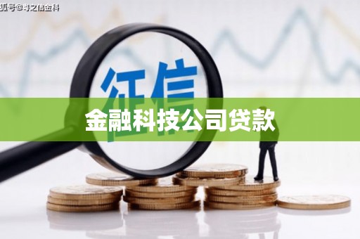 双溪金融科技公司贷款