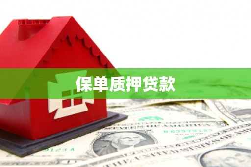 双溪保单质押贷款