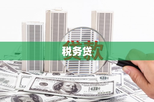 双溪税务贷