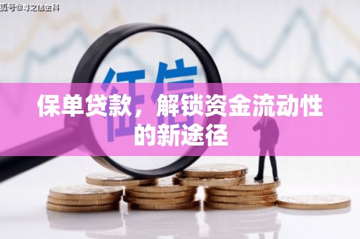 双溪保单贷款，解锁资金流动性的新途径