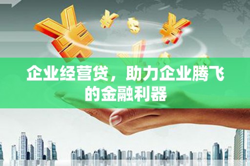 双溪企业经营贷，助力企业腾飞的金融利器