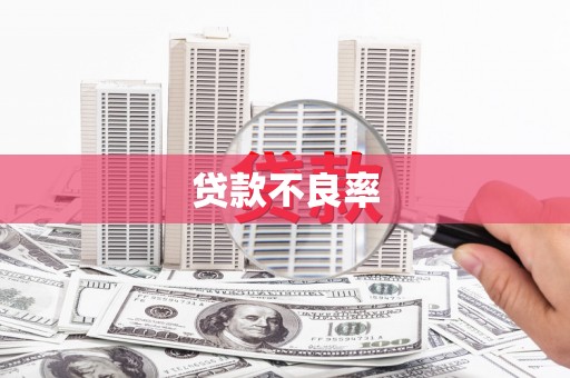 双溪贷款不良率