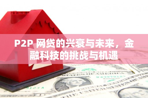 双溪P2P 网贷的兴衰与未来，金融科技的挑战与机遇