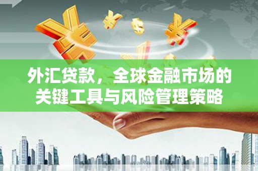 双溪外汇贷款，全球金融市场的关键工具与风险管理策略