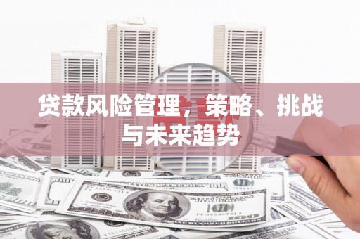 双溪贷款风险管理，策略、挑战与未来趋势