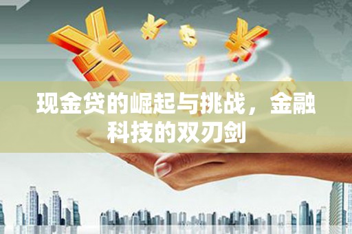 双溪现金贷的崛起与挑战，金融科技的双刃剑